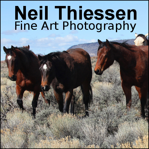 Neil Thiessen Fine Art Prints